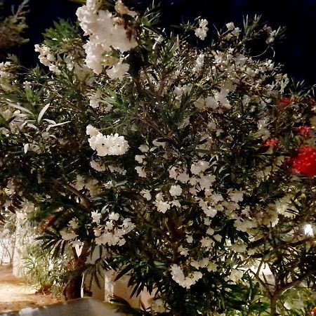 Maroulis Studios Mikri Vigla Bagian luar foto