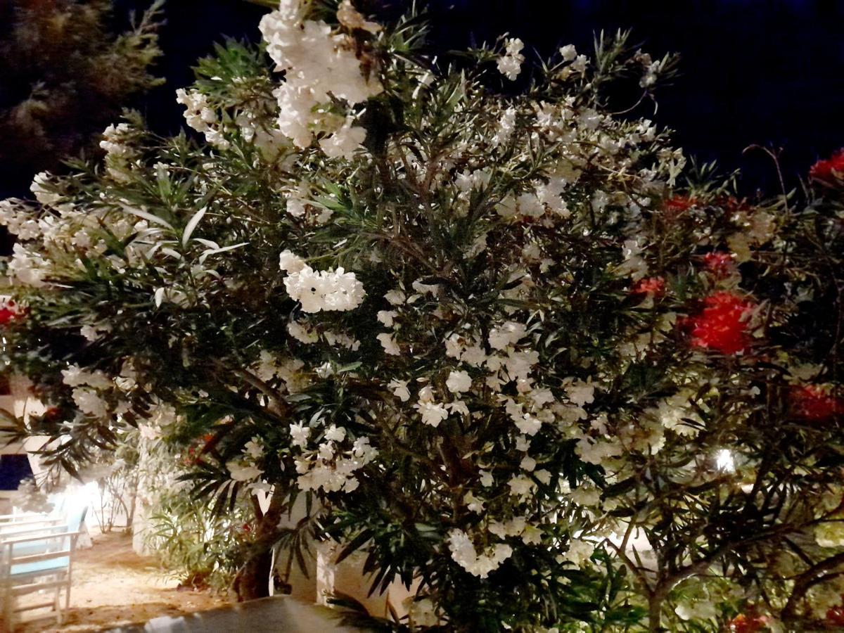 Maroulis Studios Mikri Vigla Bagian luar foto